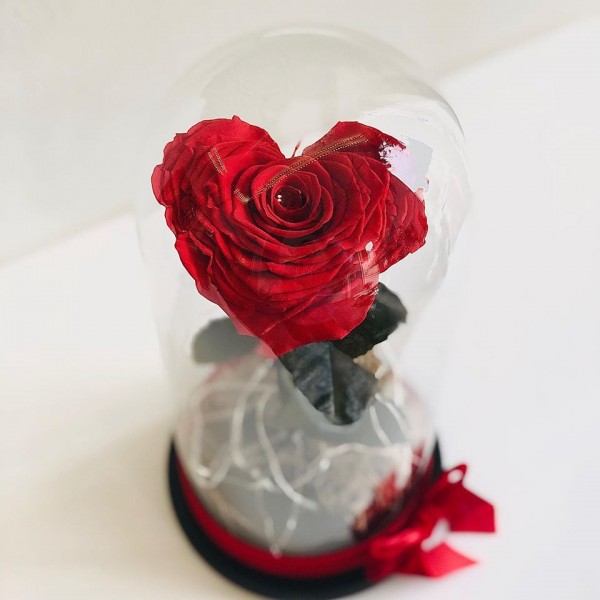 Forever rose the eternal rose forever-rose10