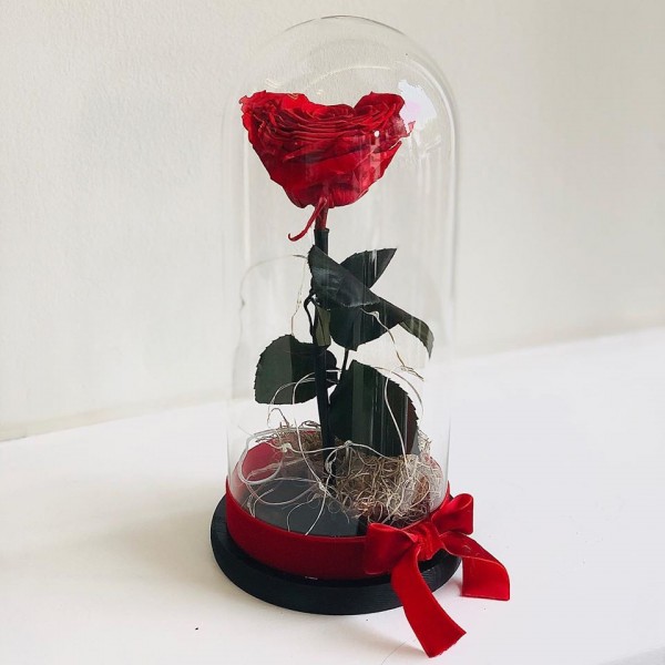 Forever Rose το αιώνιο τριαντάφυλλο forever-rose10