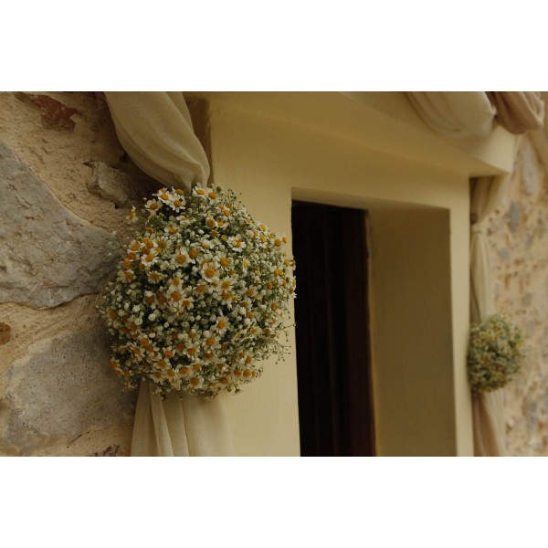 Vintage Wedding decoration with chamomile